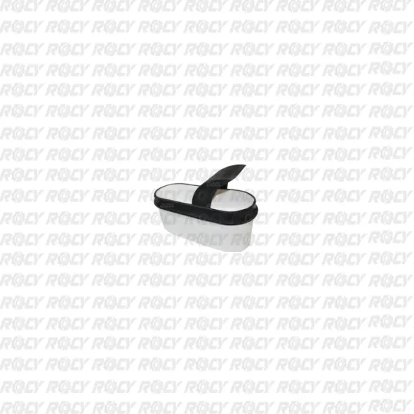 R 01 04-5029
